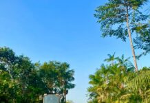 OS TRABALHOS SEGUEM AVANÇANDO NAS AÇÕES DE MELHORIA DAS NOSSAS ESTRADAS VICINAIS