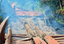 Pontes Incendiadas Cusam Prejuízos à População e Interrompem Serviços Essenciais