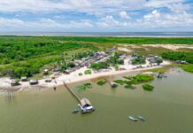 O projeto + Saúde Viseu não para!