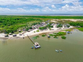 O projeto + Saúde Viseu não para!